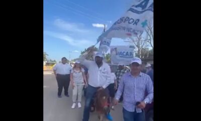 Candidato a Diputado Federal en Yucatán causa indignación por montar un poni durante su campaña