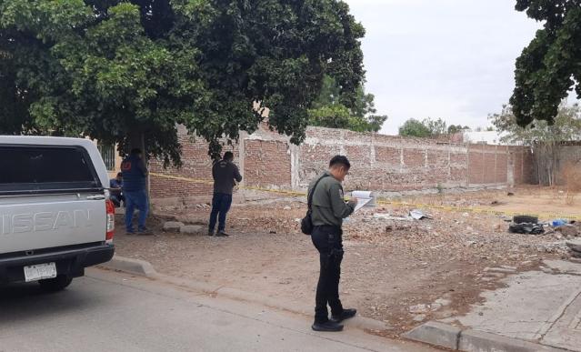 Ola de Violencia en Sinaloa: 5 Asesinatos en 24 Horas Sacuden el Estado